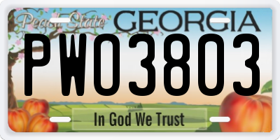 GA license plate PWO3803