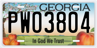 GA license plate PWO3804