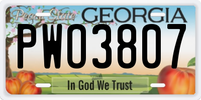 GA license plate PWO3807