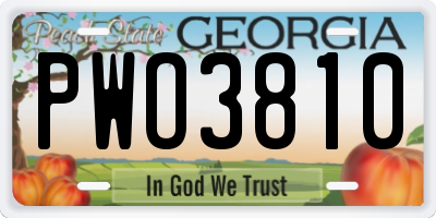 GA license plate PWO3810