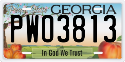 GA license plate PWO3813