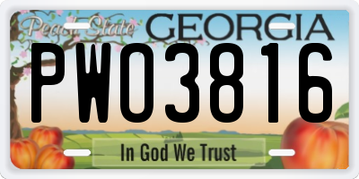 GA license plate PWO3816