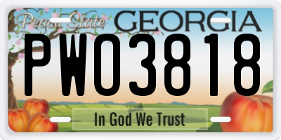 GA license plate PWO3818
