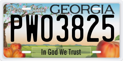 GA license plate PWO3825