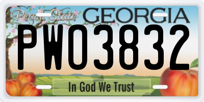 GA license plate PWO3832