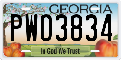 GA license plate PWO3834