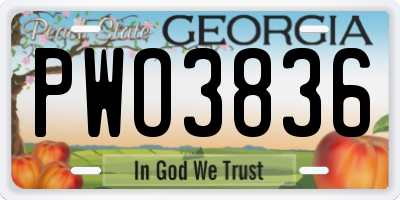 GA license plate PWO3836