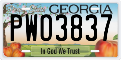 GA license plate PWO3837