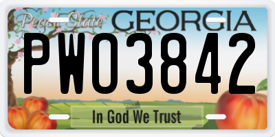 GA license plate PWO3842