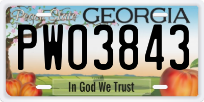 GA license plate PWO3843