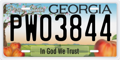 GA license plate PWO3844