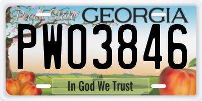 GA license plate PWO3846