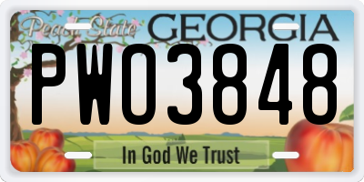 GA license plate PWO3848