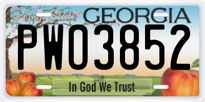 GA license plate PWO3852