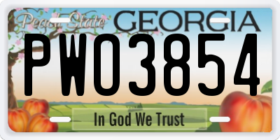 GA license plate PWO3854