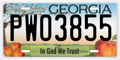 GA license plate PWO3855