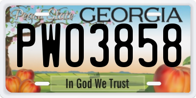 GA license plate PWO3858