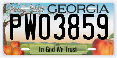 GA license plate PWO3859