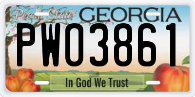 GA license plate PWO3861