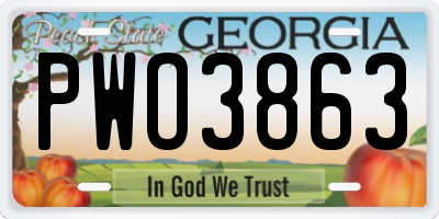 GA license plate PWO3863