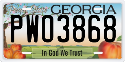 GA license plate PWO3868