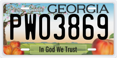 GA license plate PWO3869