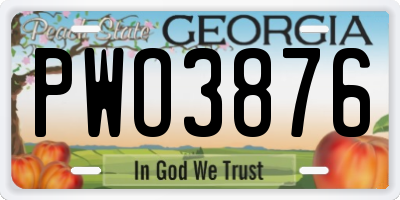 GA license plate PWO3876