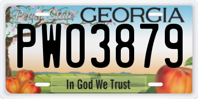 GA license plate PWO3879
