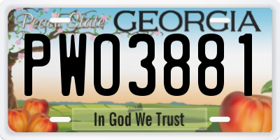 GA license plate PWO3881