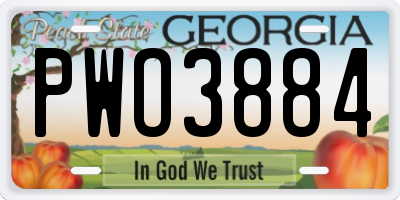 GA license plate PWO3884