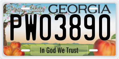 GA license plate PWO3890