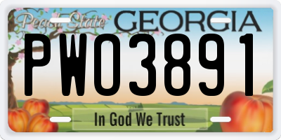 GA license plate PWO3891