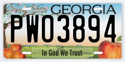 GA license plate PWO3894