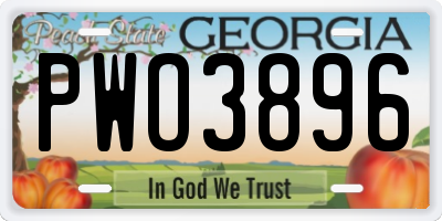 GA license plate PWO3896