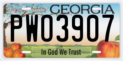GA license plate PWO3907