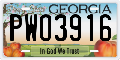 GA license plate PWO3916