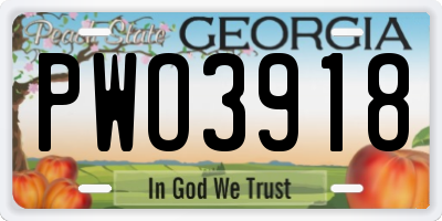GA license plate PWO3918