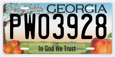 GA license plate PWO3928