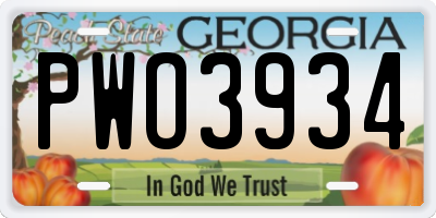 GA license plate PWO3934