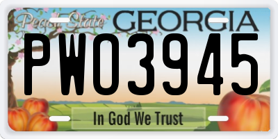 GA license plate PWO3945
