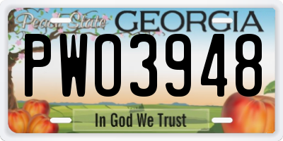 GA license plate PWO3948
