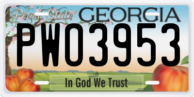 GA license plate PWO3953