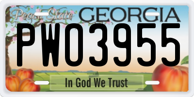 GA license plate PWO3955