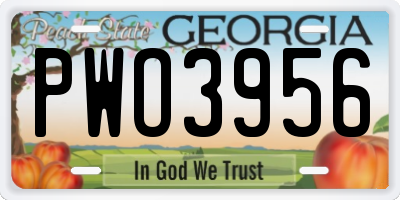 GA license plate PWO3956