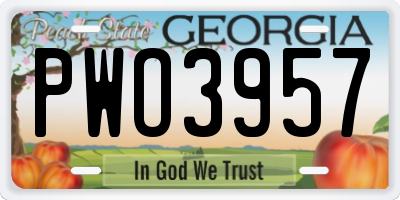 GA license plate PWO3957