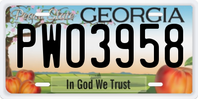 GA license plate PWO3958