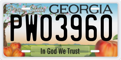 GA license plate PWO3960