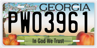 GA license plate PWO3961