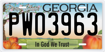 GA license plate PWO3963