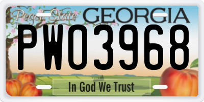 GA license plate PWO3968